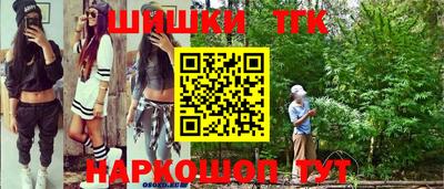 дживик Камень-на-Оби