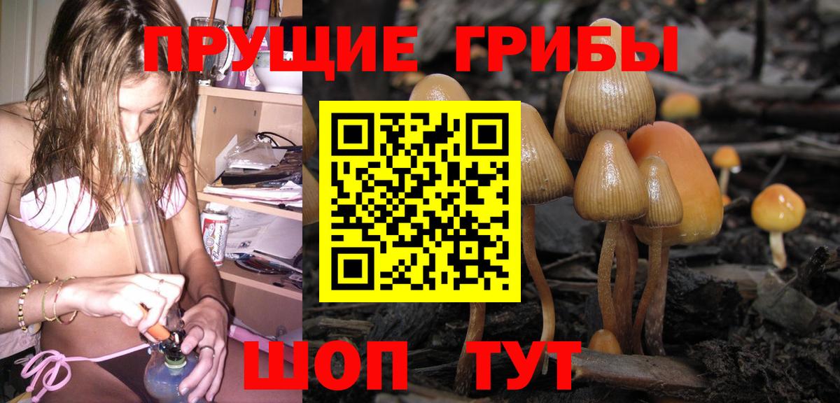 купить закладку  Галлюциногенные грибы Psilocybine cubensis  Вход с VPN  Великие Луки 